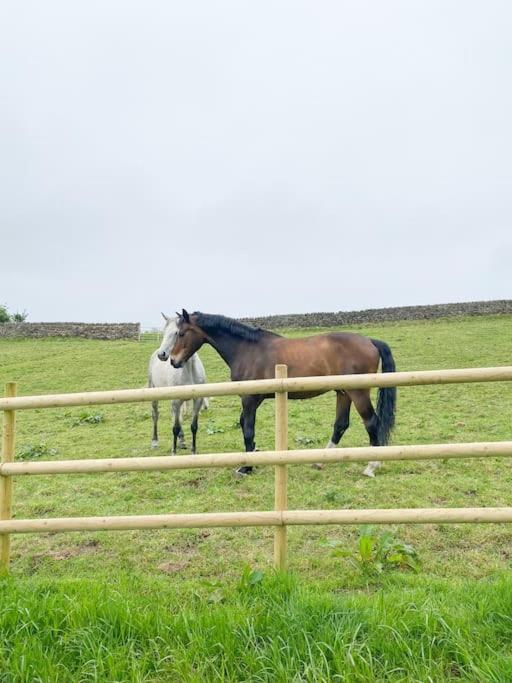 Hazelwood Luxury Detached Peak District Stone Barn - Dog Friendlyヴィラ エクステリア 写真
