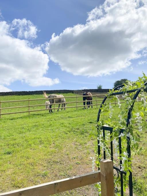 Hazelwood Luxury Detached Peak District Stone Barn - Dog Friendlyヴィラ エクステリア 写真