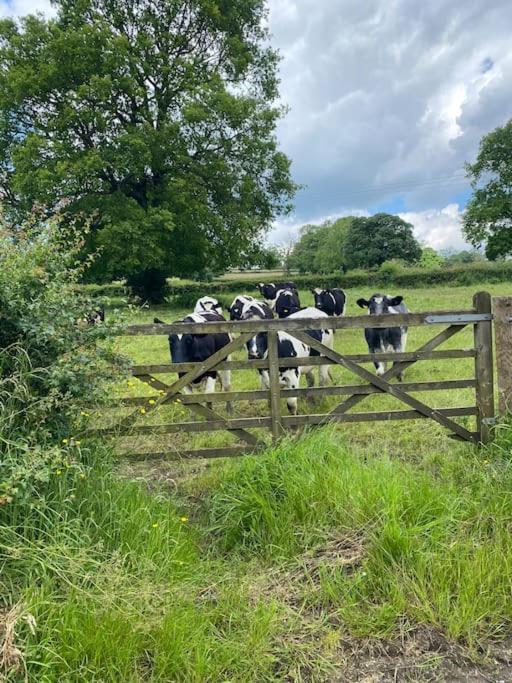Hazelwood Luxury Detached Peak District Stone Barn - Dog Friendlyヴィラ エクステリア 写真